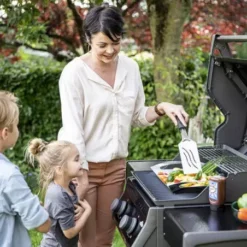 Barbecue Gaz Rogue 365 R 2 Brûleurs - NAPOLEON 9 Barbecue Gaz Rogue 365 R 2 Brûleurs - NAPOLEON -Weber Pas Cher Barbecues Magasin barbecue gaz rogue 365 serie r 2 bruleurs 2