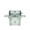 Barbecue Charbon De Bois Pro 605 Inox NAPOLEON