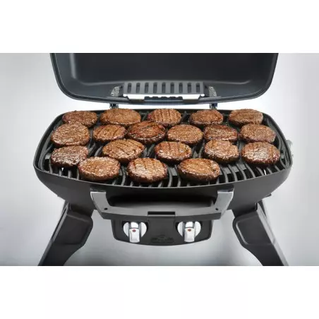 Napoleon Barbecue Portable Gaz Travel Q Pro285 - Noir - NAPOL 2 Napoleon Barbecue Portable Gaz Travel Q Pro285 - Noir - NAPOL – Image 2